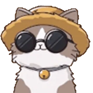 😎