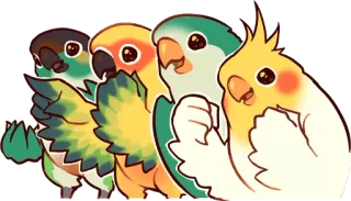 😃 鳥, オウム, オカメインコ, かわいい, 動物, マンガ telegram sticker