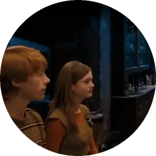 🌟 Ron Weasley Harry Potter harry potter, ron weasley, ginny weasley, fantasy, tovenaarswereld, vrienden telegram sticker
