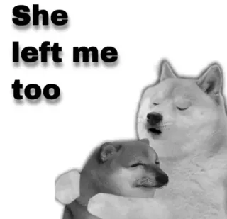 😂 She left me too doge, meme, triste, perro telegram sticker