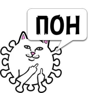 😼 ПОН gatto, dito medio, offensivo, slang, Ripndip telegram sticker