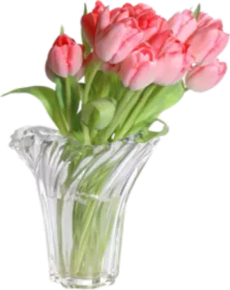 🌸 hoa tulip, hoa, bình hoa, màu hồng, bó hoa, cắm hoa telegram sticker
