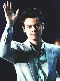 💶 Harry Styles musicien, chanteur, pop star, célébrité telegram sticker