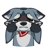😭 raton laveur, pleurer, triste, animal, dessin animé telegram sticker