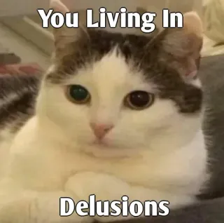 👀 You Living In
Delusions gato, meme, delirios, gracioso, animal whatsapp sticker