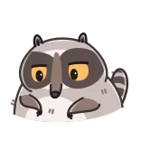 😳 guaxinim, animal, desenho animado, adesivo telegram sticker