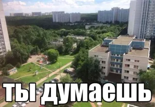 🤔 Ты думаешь telegram sticker