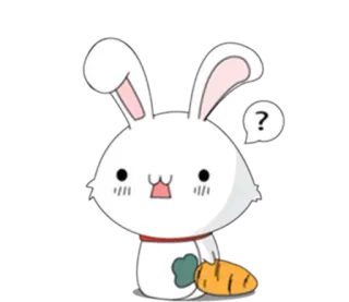 😟 lapin, carotte, point d'interrogation, mignon, animal, kawaii, dessin animé whatsapp sticker
