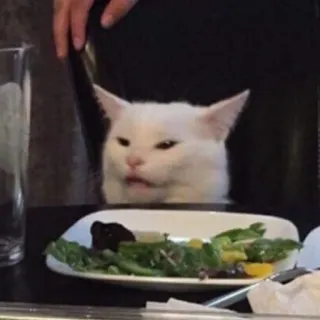 😾 cat, meme, disgusted, salad, funny telegram sticker
