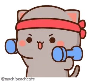 💪 gato, mancuerna, ejercicio, entrenamiento, fitness, dibujo animado telegram sticker