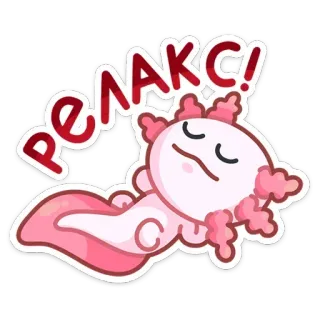 😴 Релакс! Axolotl, Détente, Mignon, Sommeil, Dessin animé whatsapp sticker