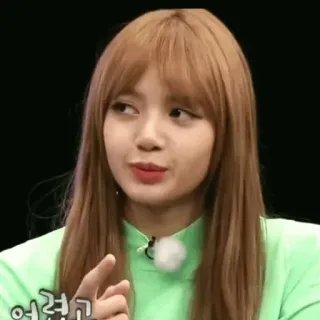 🌿 어렵고 lisa, kpop, blackpink, coreano, garota telegram sticker