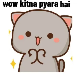 🤩 wow kitna pyara hai かわいい, 猫, 愛らしい, カワイイ, キラキラ, 幸せ, ワクワク whatsapp sticker