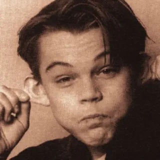 🌻 Leonardo DiCaprio actor, teen, celebrity, young, portrait telegram sticker