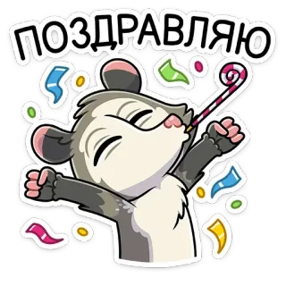 🥳 ПОЗДРАВЛЯЮ zarigüeya, fiesta, celebración, confeti, animal, sticker, lindo telegram sticker