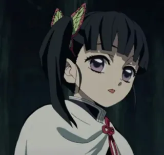 🌸 Kanao Tsuyuri Demon Slayer anime, demon slayer, kanao tsuyuri, cartoon telegram sticker
