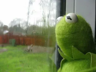 🌧 Kermit Лягушонок Кермит, Маппеты, лягушка, кукла, окно, меланхолия, грустный, дождь telegram sticker