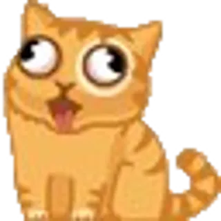 🐈 gatto, animale, divertente, stupido, arancione, cartone animato whatsapp sticker