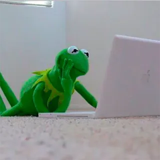 💻 Kermit the Frog 科米, 青蛙, 笔记本电脑, 布偶, 思考, 表情包 telegram sticker
