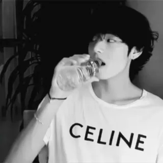 💳 CELINE person, drinking, t-shirt, celebrity, black and white, portrait telegram sticker