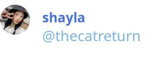 🫶 shayla
@thecatreturn retrato, mídias sociais, perfil, nome de usuário, avatar telegram sticker