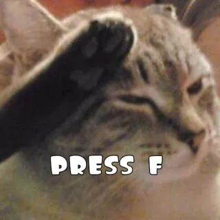☠️ PRESS F кот, нажми f, мем, животное, скорбь, дань telegram sticker