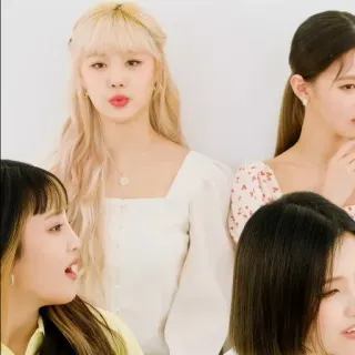 🐚 kpop group, women, idols, portrait, girl group whatsapp sticker