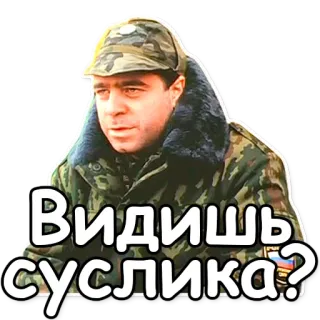 👀 Видишь суслика? soldaat, russisch, militair, camouflage, uniform telegram sticker
