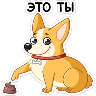 💩 ЭТО ТЫ chien, corgi, animal, dessin animé, caca whatsapp sticker