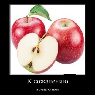🍎 К сожалению
я оказался прав mela, frutta, cibo, rosso, meme, russo telegram sticker
