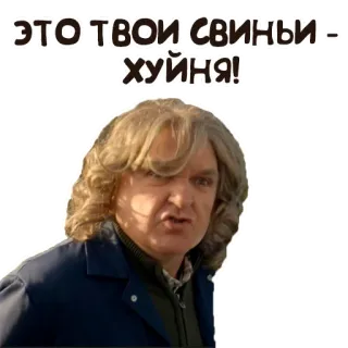 🖕 ЭТО ТВОИ СВИНЫ - ХУЙНЯ! offensive, swear word, russian, meme, humor whatsapp sticker