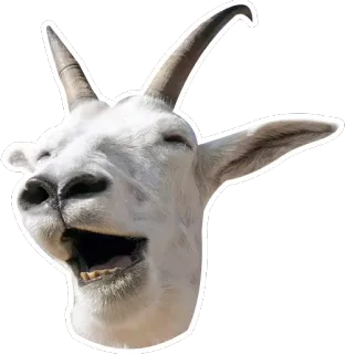 😂 animal, goat, laughing, meme, funny telegram sticker