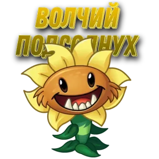 🌟 ВОЛЧИЙ ПОДСЛУНУХ Sonnenblume, Plants vs Zombies, Cartoon, Blume, Figur, Videospiel, Pflanze telegram sticker