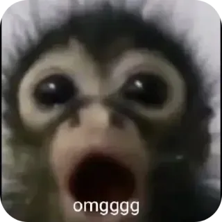 Больше стиков тут: @stikery4 whatsapp stickers