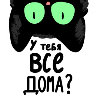 🙃 У тебя все дома? 고양이, 검은 고양이, 러시아, 스티커 whatsapp sticker