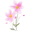 🌸