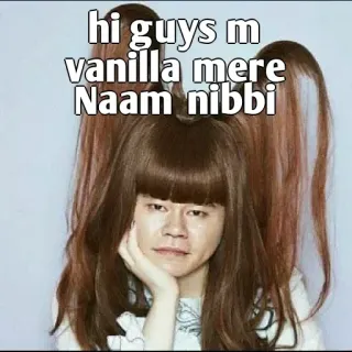 👀 hi guys m vanilla mere Naam nibbi telegram sticker