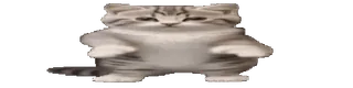 Больше стиков тут: @stikery4 whatsapp stickers