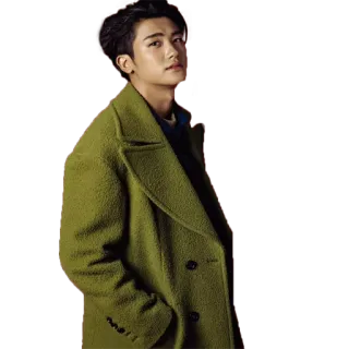 😠 uomo, cappotto verde, coreano, ritratto, moda, modello telegram sticker