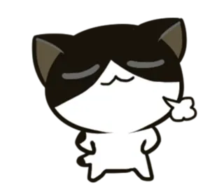 😤 แมว, สัตว์, การ์ตูน, น่ารัก, สติกเกอร์ whatsapp sticker
