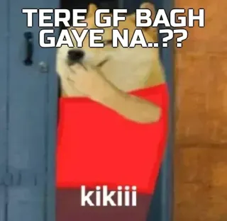 🙂 TERE GF BAGH GAYE NA..?? kikiiii pies, mem, hindi, śmieszne, dziewczyna whatsapp sticker