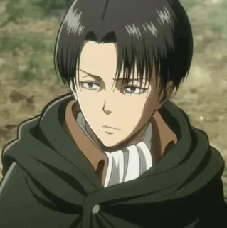 🔗 Levi Ackerman Attack on Titan Anime, Levi Ackerman, Atak Tytanów, Żołnierz, Postać, Manga telegram sticker