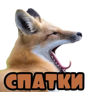 💤 СПАТКИ fuchs, gähnen, schläfrig, tier, säugetier whatsapp sticker