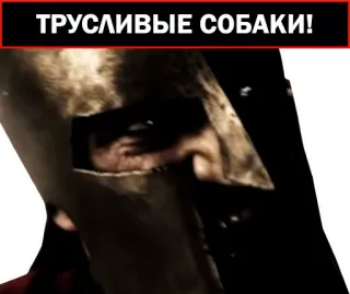 🐶 ТРУСЛИВЫЕ СОБАКИ! Espartano, guerrero, insulto, militar, ofensivo telegram sticker