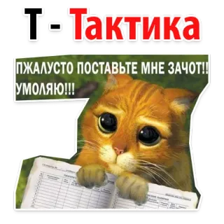 📕 T-Тактика
ПЖАЛУСТО ПОСТАВТЕ МНЕ ЗАЧОТ!!
УМОЛЯЮ!!! 猫, 乞求, 请注明出处, 策略, 俄语, 可爱 whatsapp sticker