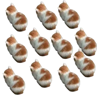 💪 ลูกแมว, แมว, สัตว์, สัตว์เลี้ยง, น่ารัก, สีส้มขาว telegram sticker