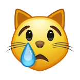 😿
