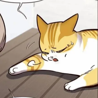 🥜 cat, animal, pet, feline telegram sticker