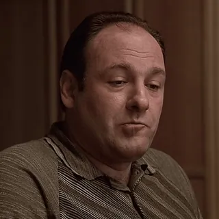 🫤 Tony Soprano The Sopranos telegram sticker