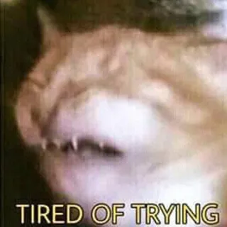 😫 TIRED OF TRYING kot, zmęczony, mem, zwierzę, wyraz, humor telegram sticker